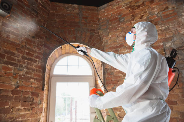 Best Industrial Mold Remediation  in Rigby, ID